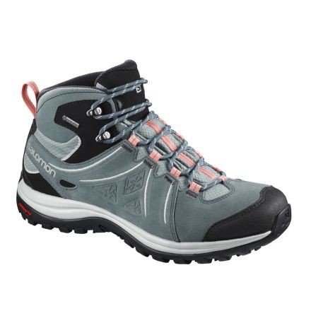 Salomon Men's Quest 4d 3 GTX Backpacking Boots