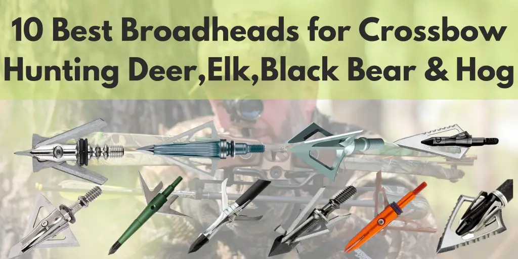 Best Broadheads for Crossbow
