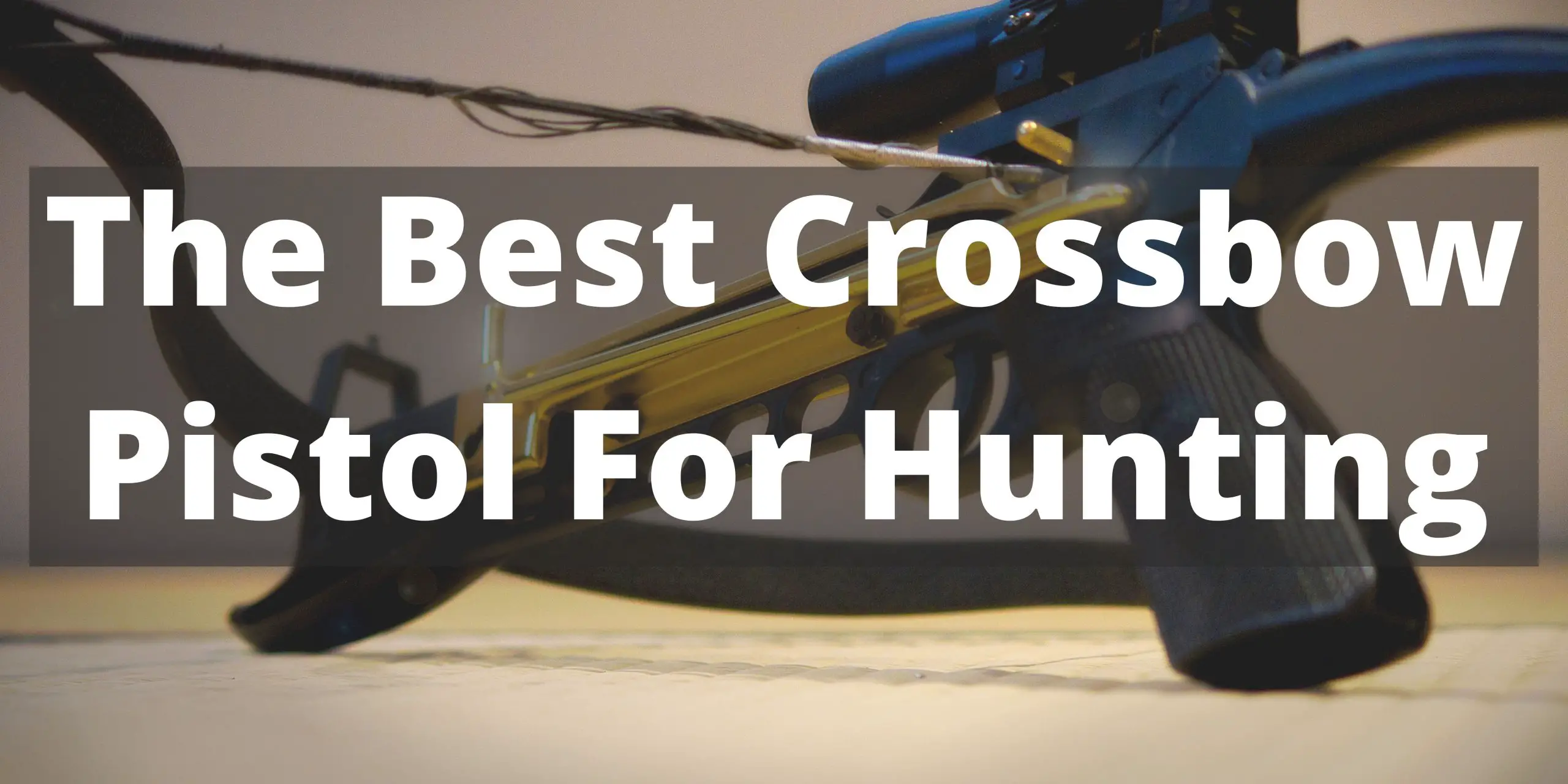 Best Crossbow Pistol For Hunting