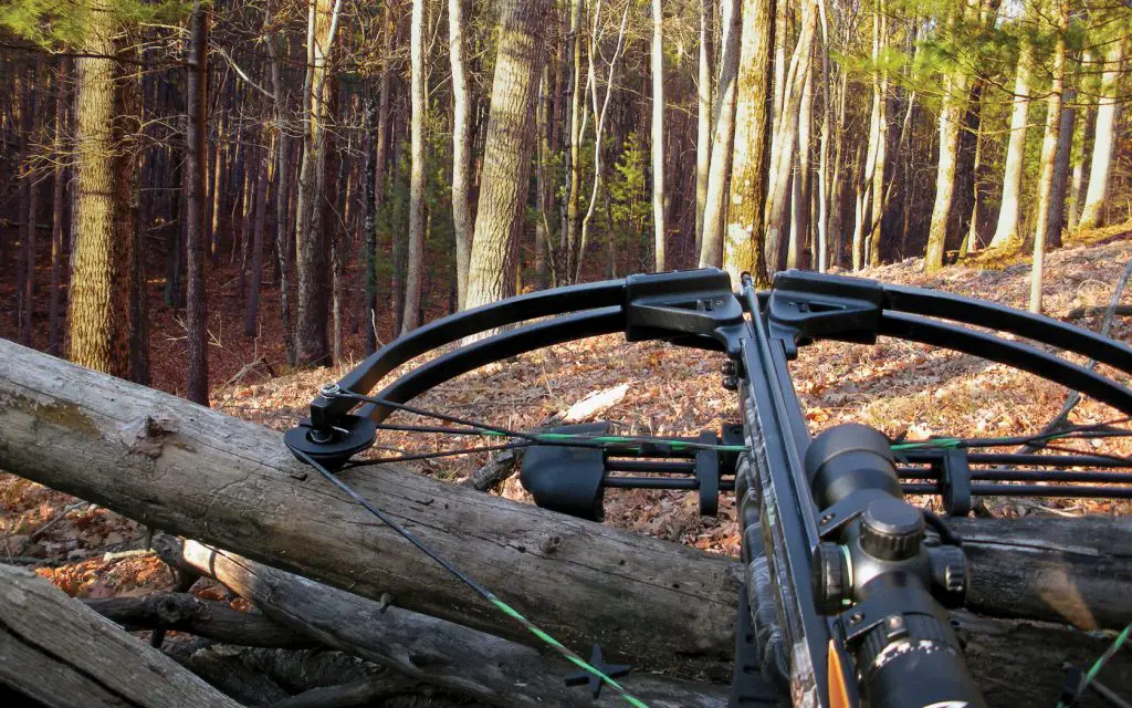 Horton SuperMag Crossbow