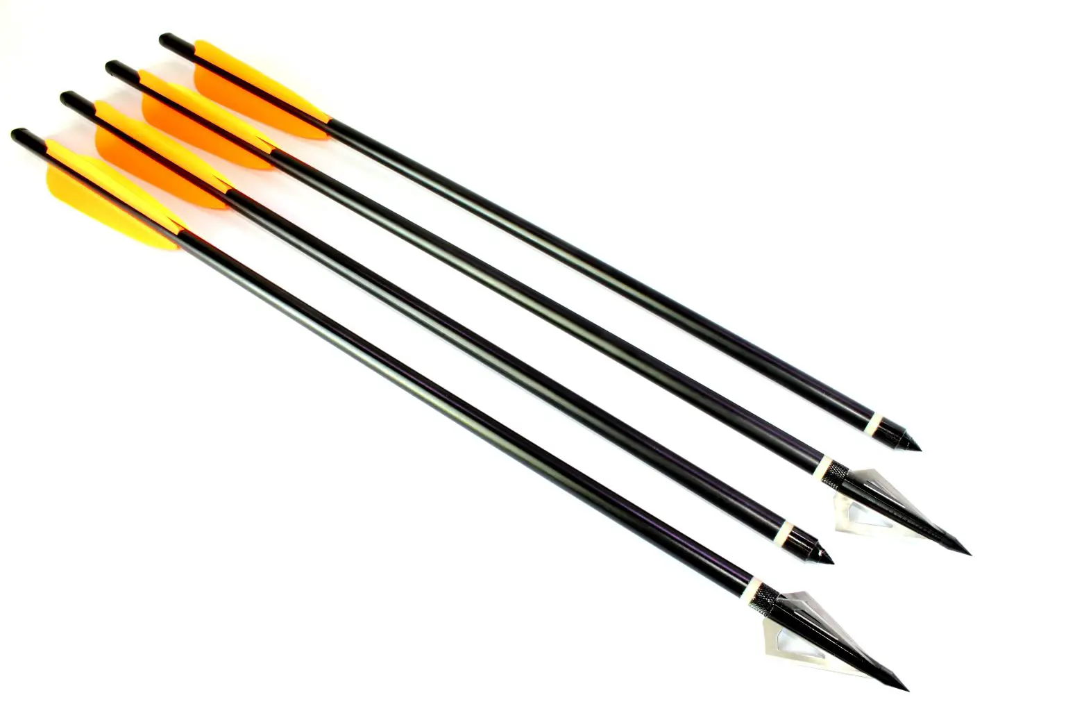 The Best Crossbow Bolts on the Market Hunter Guide