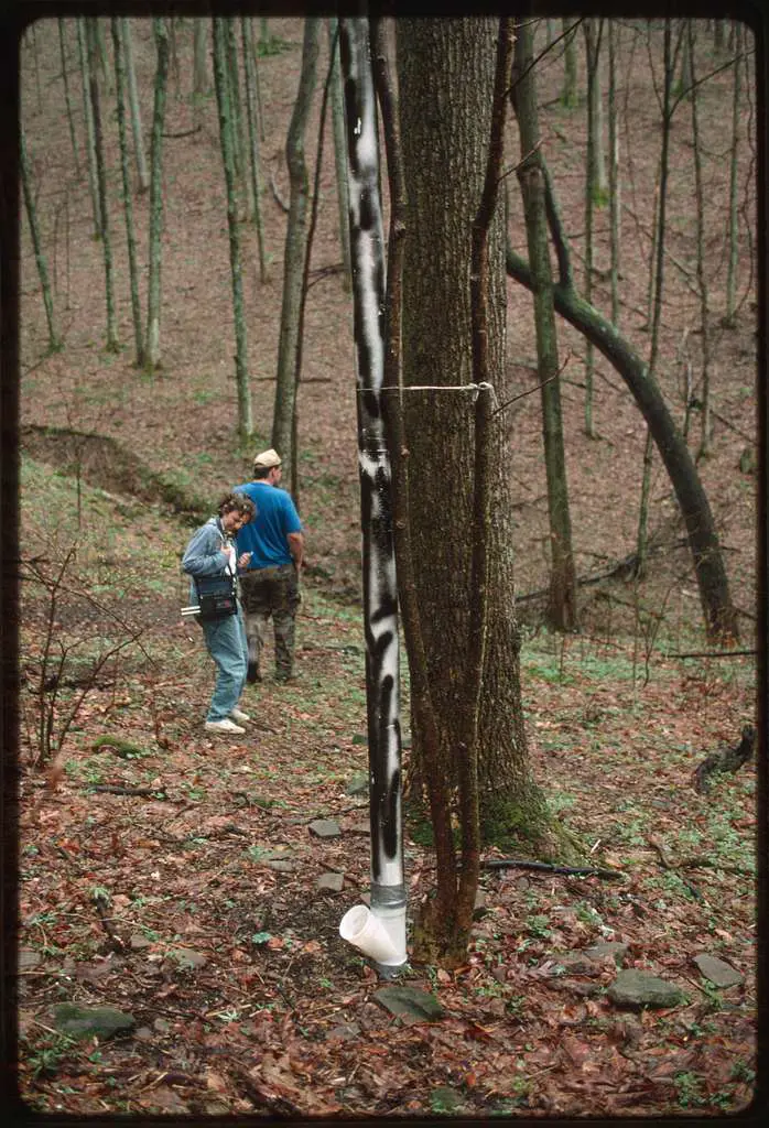 Deer-gravity-pipe-feeder