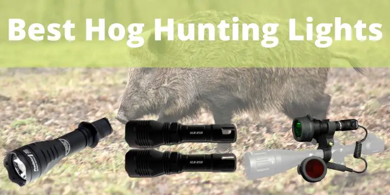 Best Hog Hunting Lights