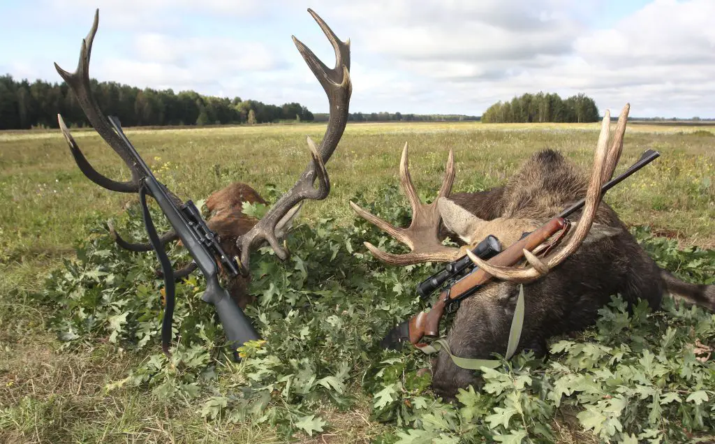 hunting-deer-rifle
