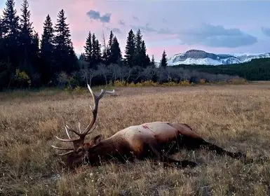 Elk-hunting