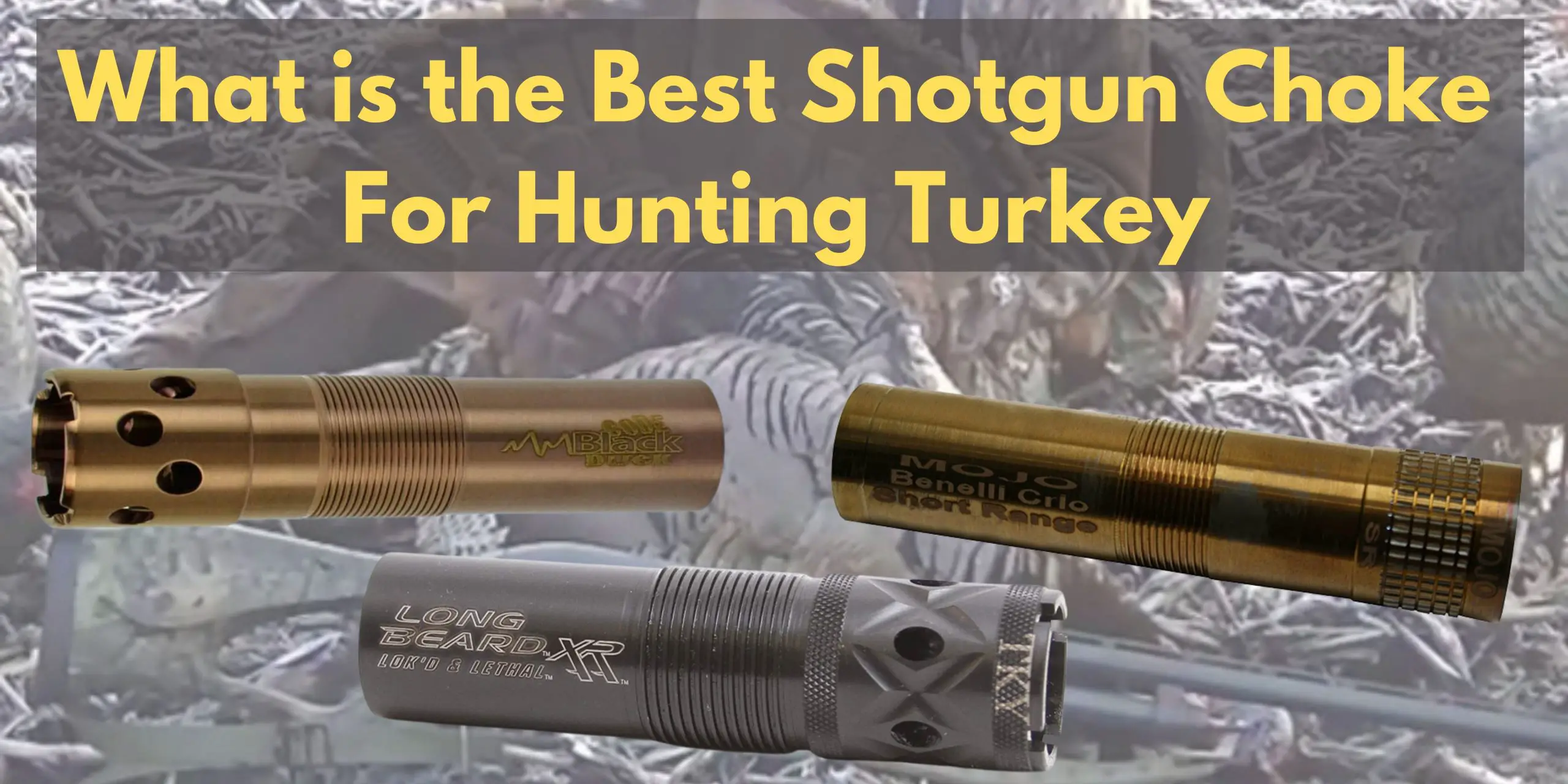 Best shotgun choke for hunting turkey