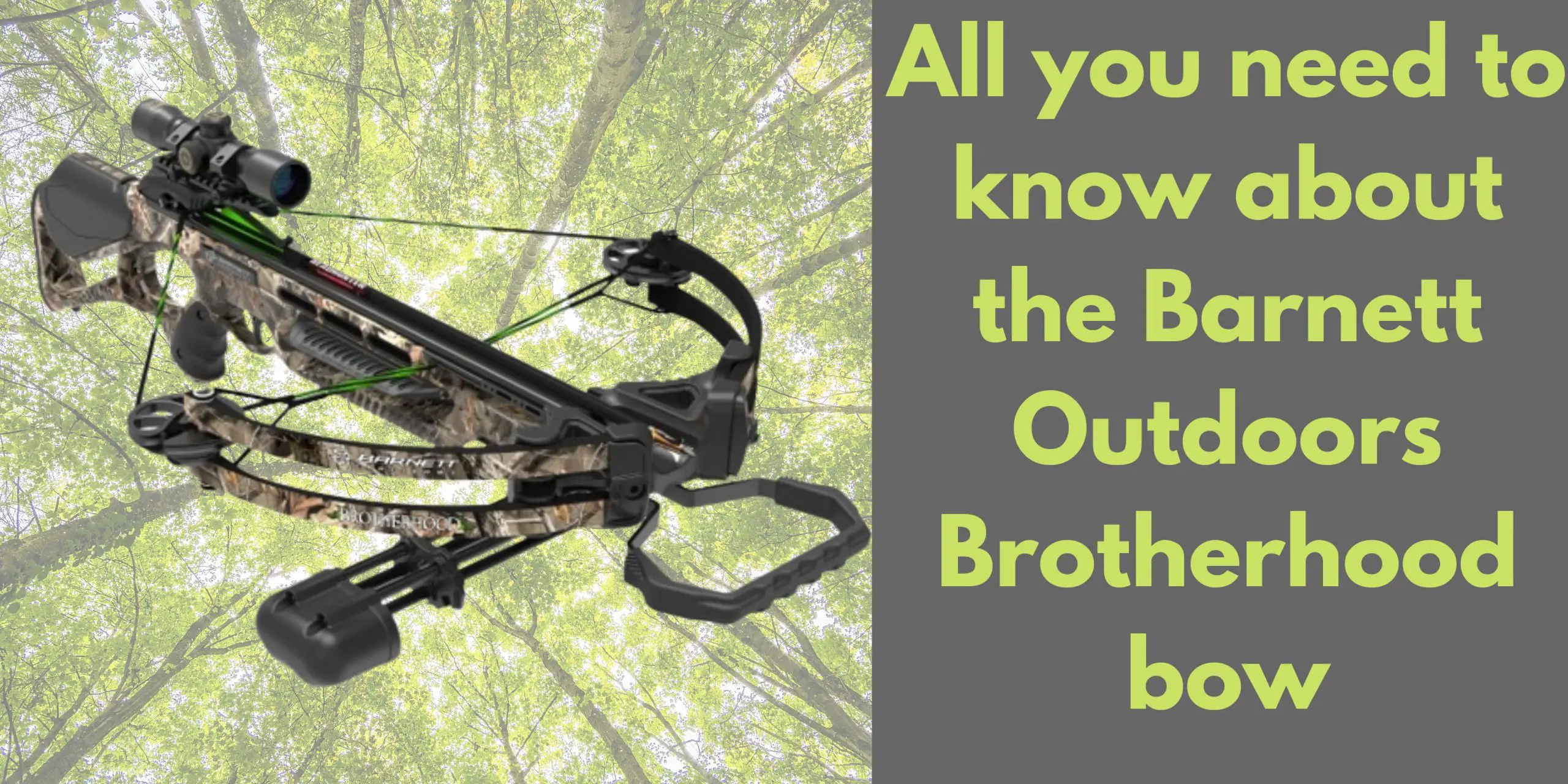 Barnett Outdoors Brotherhood bow