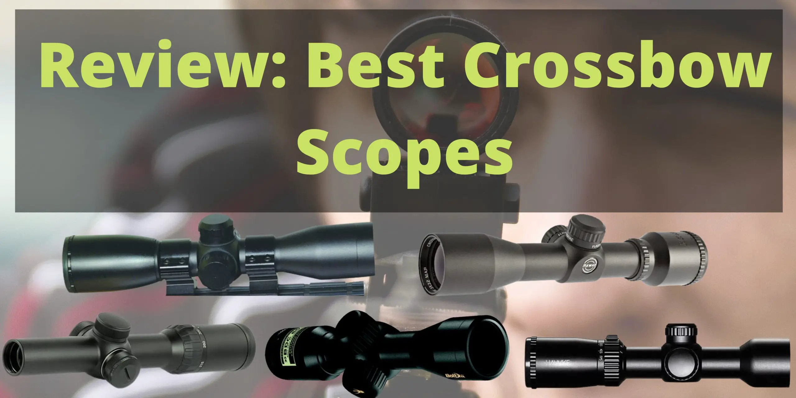 Best Crossbow Scopes